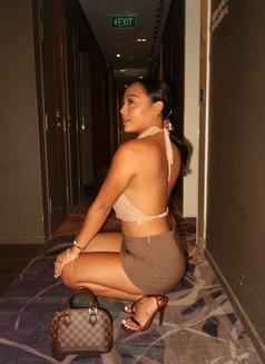Island Babe - escort in Singapore Photo 21 of 21