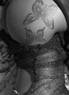 Islandgirlie - escort in Kingston Photo 1 of 2