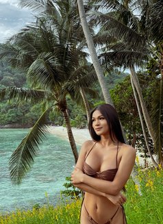 Itim Both LB - Acompañantes transexual in Phuket Photo 20 of 26