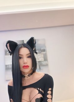 iTs Me Angel Your Fantasy - Acompañantes transexual in Dubai Photo 24 of 24