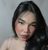 Itsme Max - Transsexual escort in Singapore