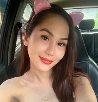 Ysabella Just Arrived (Limited Days) - escort in Hyderabad Photo 7 of 15