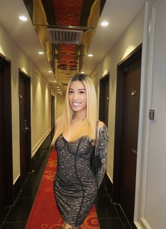 itsmejaihu (ALUA & FANSLY MODEL) - Transsexual escort in Kuala Lumpur Photo 5 of 7