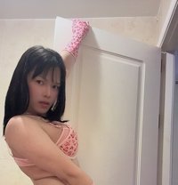 Ivana, Super Gorgeous Model Asian - Transsexual escort in Marbella