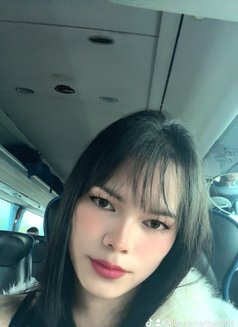 Ivana,Young Asian in Marbella - Transsexual escort in Marbella Photo 4 of 6