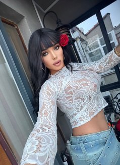 İvana—XXL-Serbia - Transsexual escort in İstanbul Photo 21 of 22