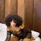 Ivanna Super Hot - escort in Ahmedabad Photo 4 of 5