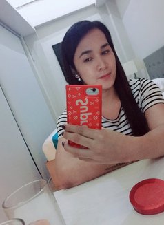 Ivhone a fresh and young ladyboy - Transsexual escort in Angeles City Photo 23 of 30
