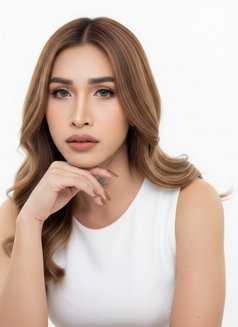 Ivory TOP - Transsexual escort in Singapore Photo 17 of 18