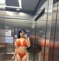 Ivy new available - Transsexual escort in Abu Dhabi