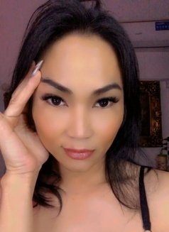 Ts ivy from Philippines 🇵🇭 - Acompañantes transexual in Abu Dhabi Photo 1 of 14