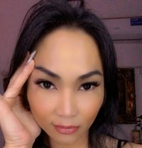 Ts ivy from Philippines 🇵🇭 - Transsexual escort in Abu Dhabi