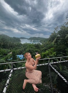 Ivy - Transsexual escort in Manila Photo 4 of 4