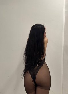 Ivy Local Malaysian - escort in Kuala Lumpur Photo 1 of 6