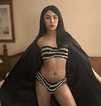 IVY 🇵🇭 pure Filipina - Transsexual escort in Taipei