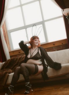 Ivy Rose Quinn - escort in Halifax Photo 1 of 1