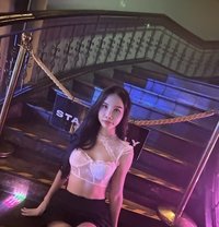 Ivy - Transsexual escort in Osaka