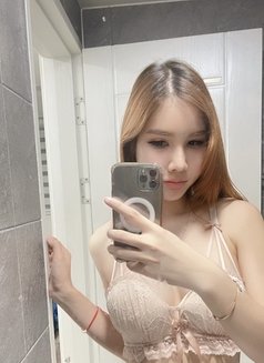 Ivy - Transsexual escort in Bangkok Photo 16 of 17