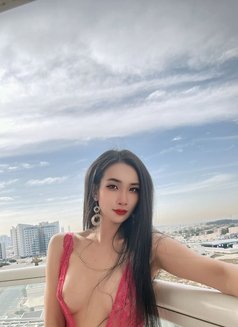 IVY the best Blowjob come back - escort in Dubai Photo 16 of 16