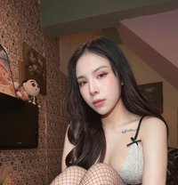 IVY tiny girl Mix 🇩🇪🇵🇭 - escort in Taichung