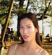 Ivy00231 - Transsexual escort in Bangkok