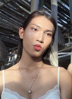 Ivy00231 - Acompañantes transexual in Bangkok Photo 6 of 9