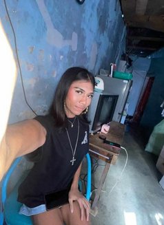 Ivyy - Transsexual escort in Manila Photo 4 of 5