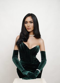 Izumi (TG: @sexyizumi) - escort in Bangkok Photo 3 of 8