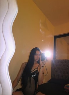 VIDEOCALLSEX JASSY LINK/PAYPAL - Transsexual escort in Dubai Photo 11 of 18