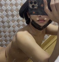 Jackky69 - Transsexual escort in Doha