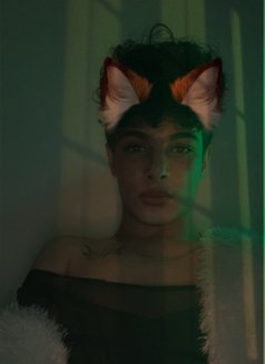 Jad - Male escort in Beirut Photo 11 of 12