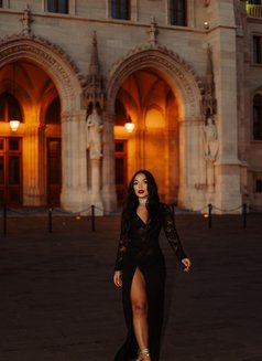 Jade Ferraz - puta in São Paulo Photo 11 of 14