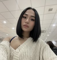 Jade - Transsexual escort in Manila
