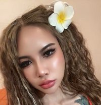 Jade - escort in Ko Samui