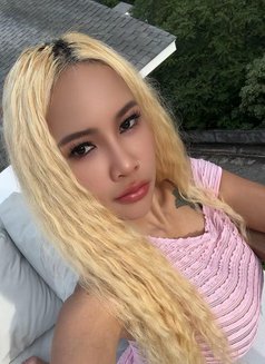 Jade - puta in Ko Samui Photo 6 of 6