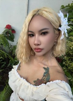 Jade - puta in Ko Samui Photo 6 of 10