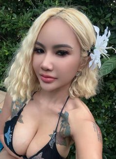 Jade - puta in Ko Samui Photo 8 of 10