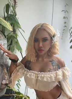 Jade - puta in Ko Samui Photo 10 of 10