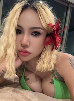 Jade - puta in Ko Samui Photo 11 of 13