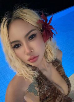 Jade - puta in Ko Samui Photo 13 of 13