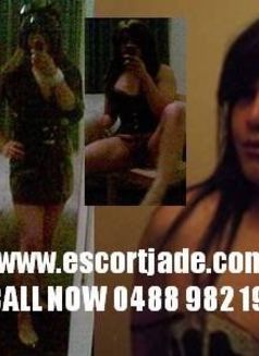 Jade Ts - Transsexual escort in Perth Photo 2 of 5
