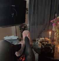 Jadxspa22 - Transsexual escort in Dubai