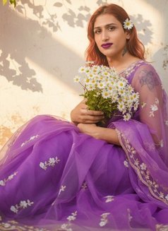 Jal Pari Monalisha Qoyinoor Shelza - Acompañantes transexual in Chandigarh Photo 24 of 30