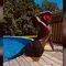 Jalyn - Acompañantes masculino in Montreal