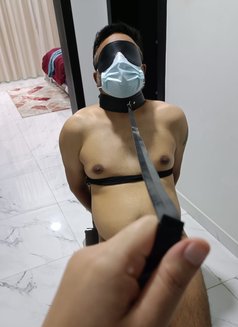 Jam BDSM, Mistress - escort in Al Manama Photo 29 of 30