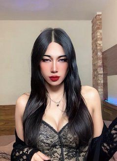 Jameelah Al Ghubrah Muscat - Transsexual escort in Muscat Photo 20 of 21