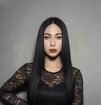 Jameelah Available Now - Acompañantes transexual in Muscat