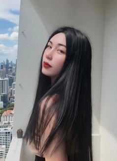 Jameelah Available Now - Transsexual escort in Muscat Photo 7 of 12