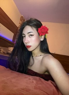 Jameelah Available Now - Transsexual escort in Muscat Photo 23 of 26