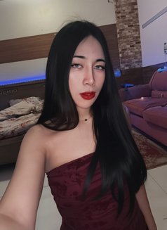 Jameelah Available Now - Transsexual escort in Muscat Photo 24 of 26